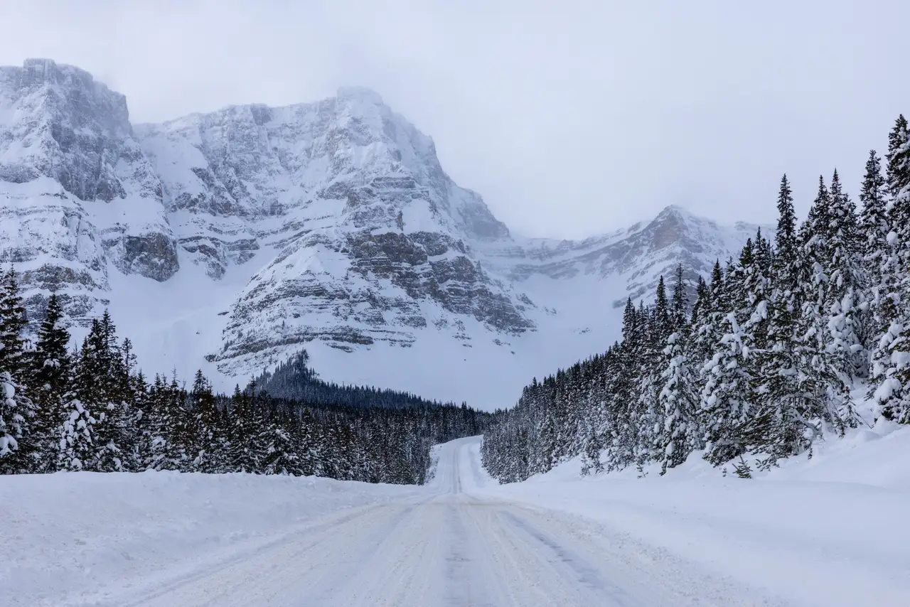 Fine-art photograph, “Snowy Mountain Road Near Banff - 5M2A0309.JPG,” from the British Columbia - Banff collection.