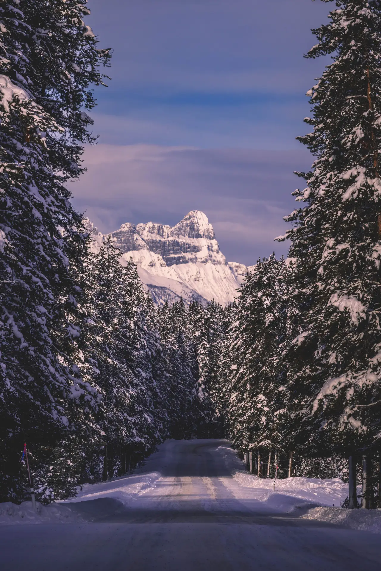 Fine-art photograph, “Snowy Road Through the Forest at Dusk - 5M2A0725.JPG,” from the British Columbia - Banff collection.