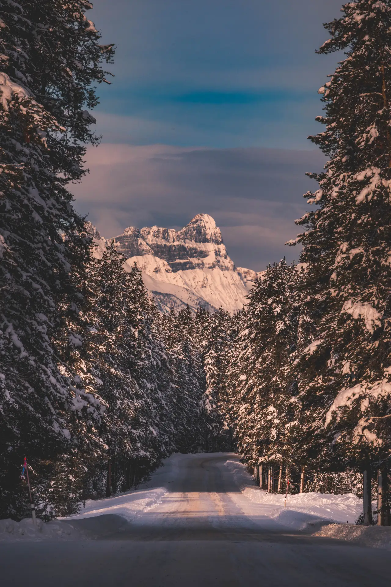 Fine-art photograph, “Snowy Banff Road at Blue Hour - 5M2A0726.JPG,” from the British Columbia - Banff collection.