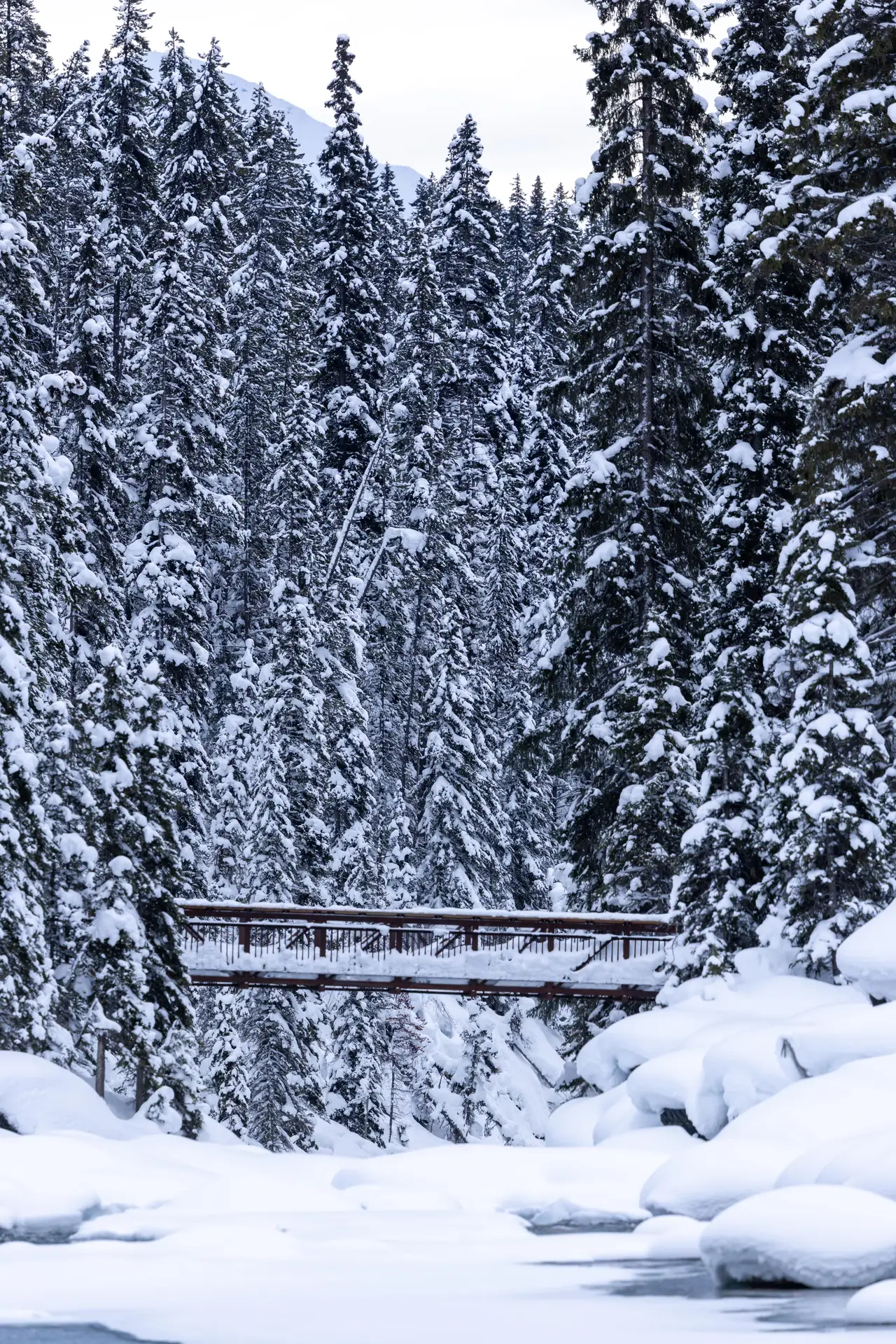 Fine-art photograph, “Snowy Creek and Forest Bridge - 5M2A1379.JPG,” from the British Columbia - Banff collection.