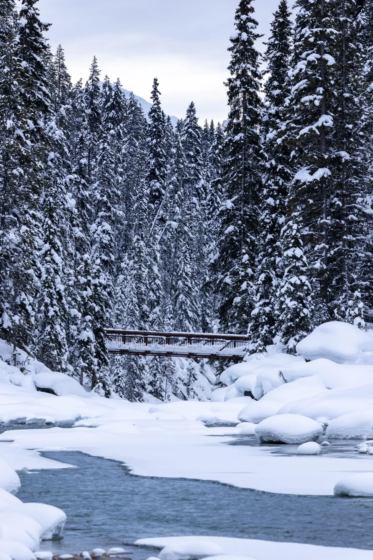 Fine-art photograph, “Banff Creek Bridge and Snowy Pines - 5M2A1381.JPG,” from the British Columbia - Banff collection.