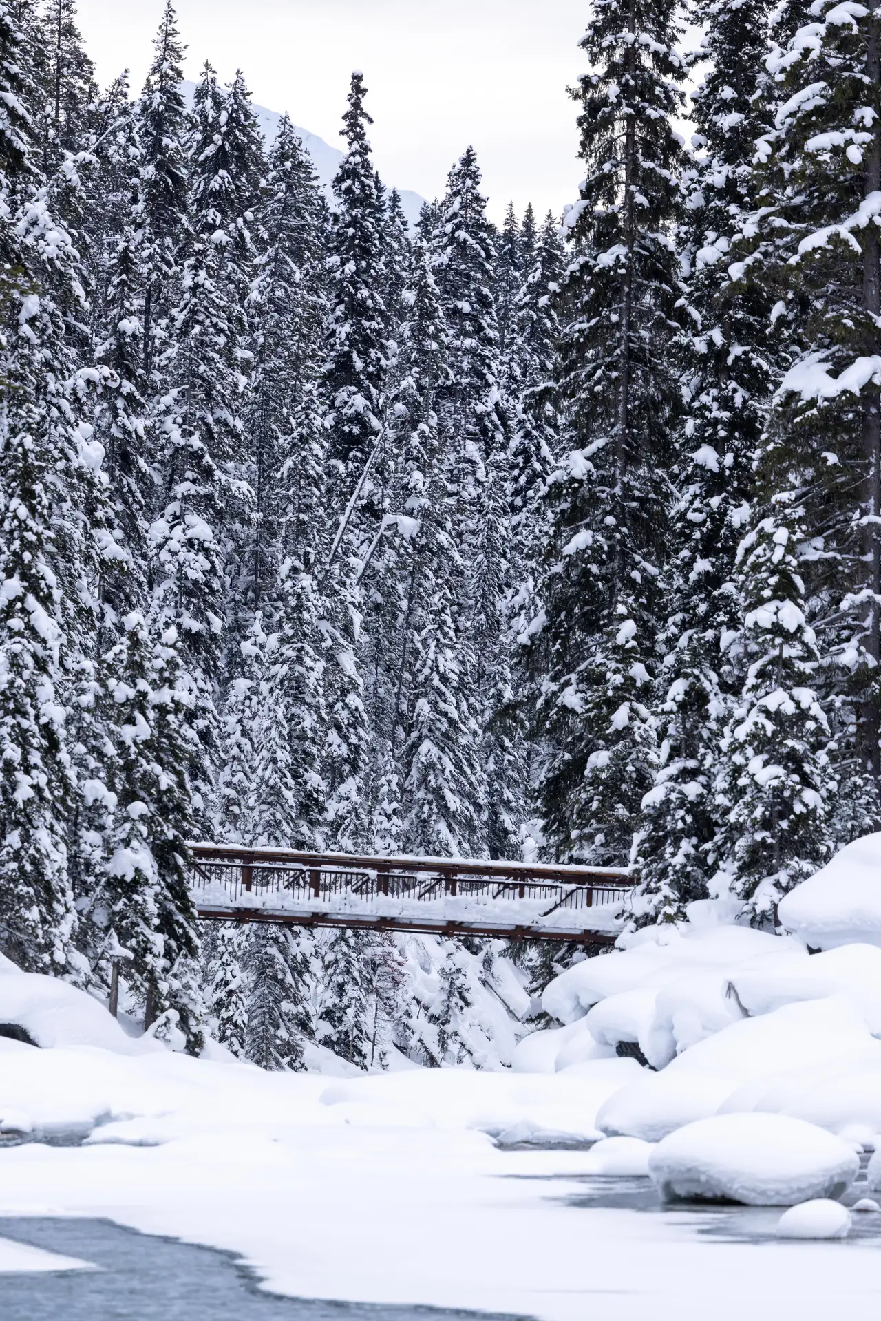 Fine-art photograph, “Banff Creek and Winter Bridge - 5M2A1388.JPG,” from the British Columbia - Banff collection.