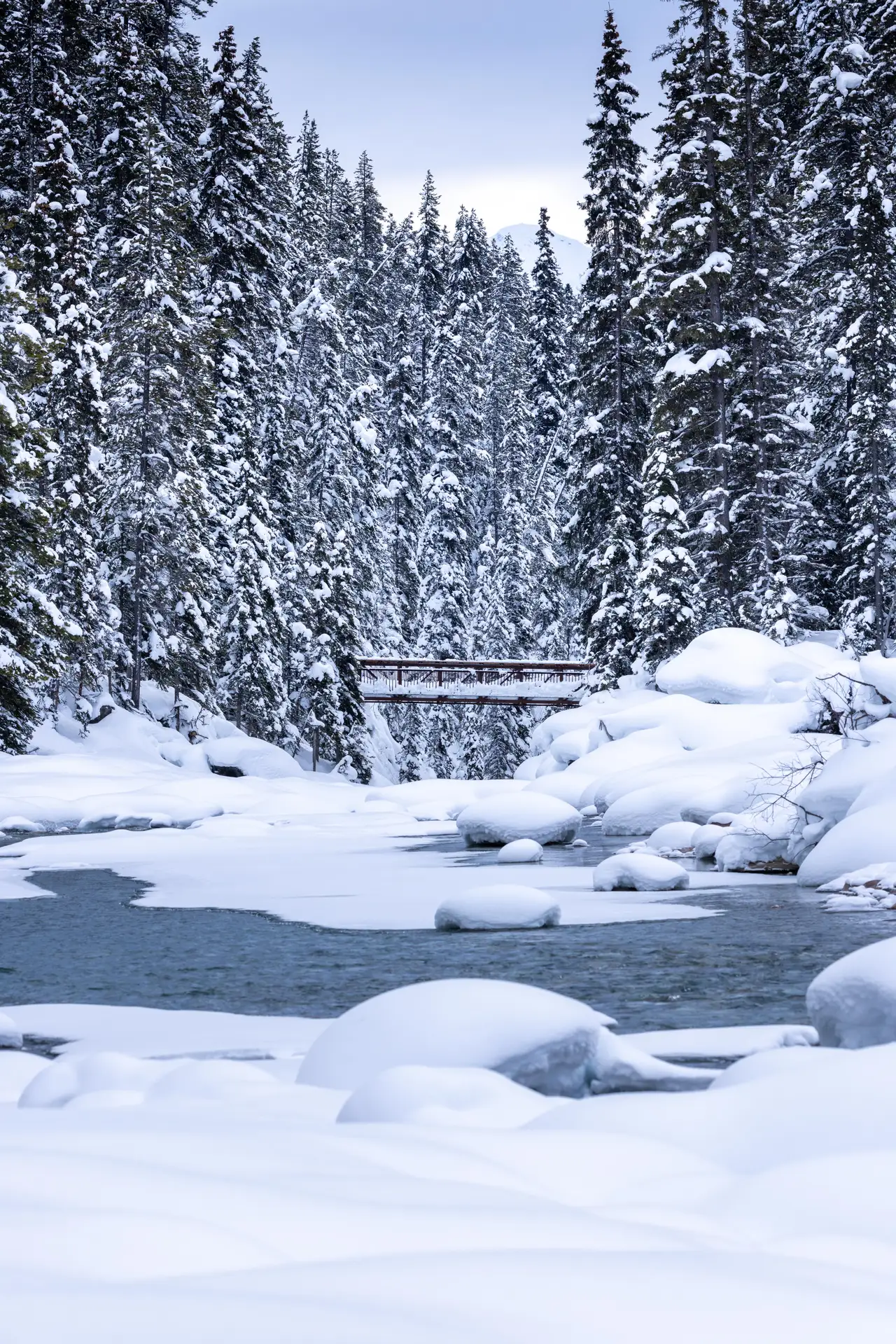 Fine-art photograph, “Snowy Creek in Vertical - 5M2A1411.JPG,” from the British Columbia - Banff collection.