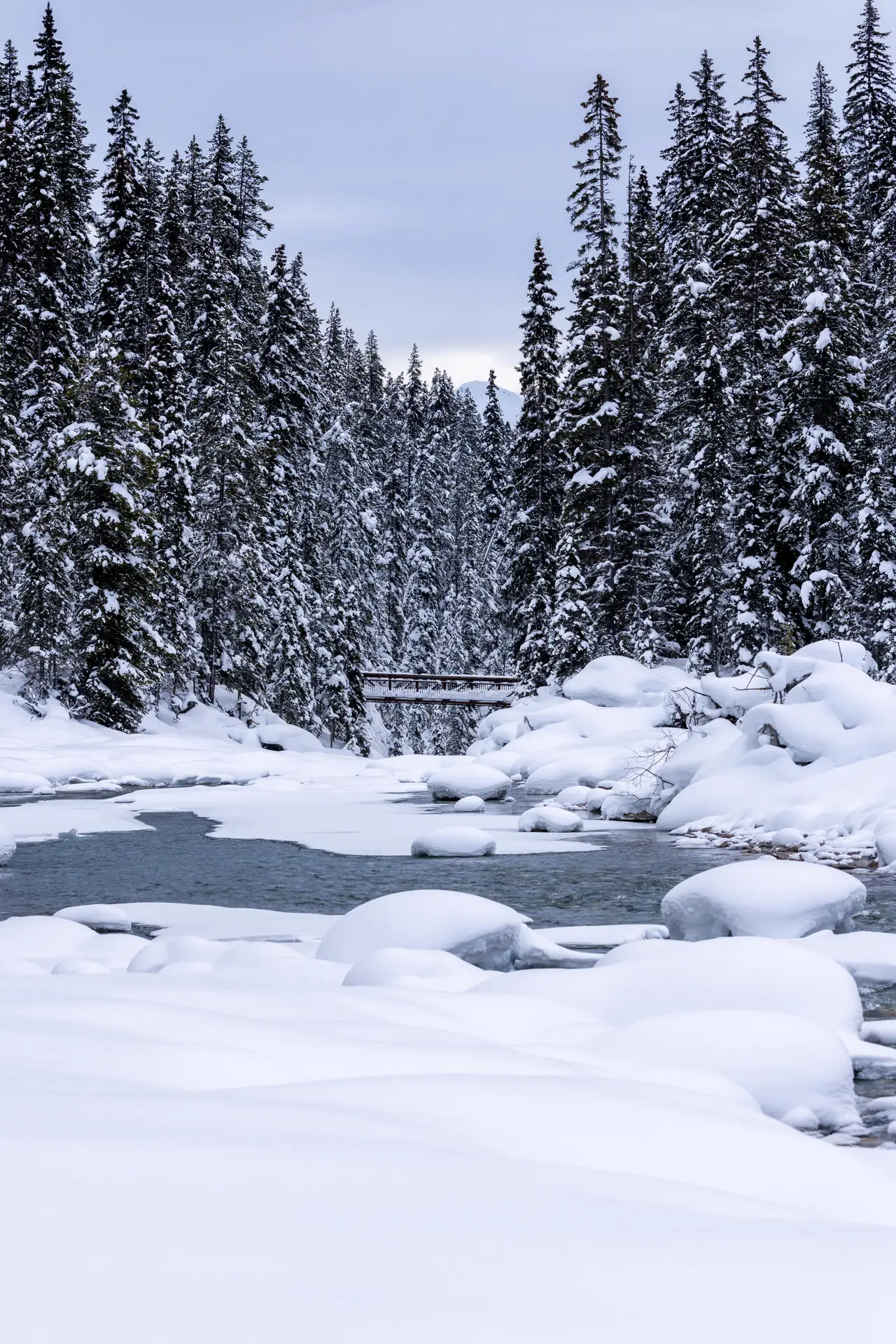 Fine-art photograph, “Snowy Creek and Forest in Vertical - 5M2A1412.JPG,” from the British Columbia - Banff collection.
