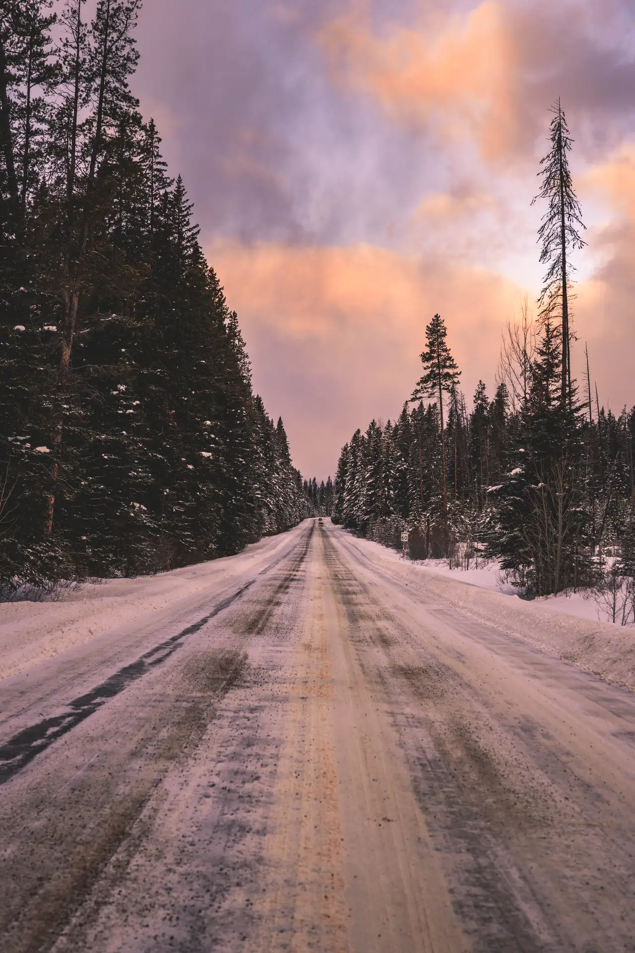 Fine-art photograph, “Banff Forest Road Beneath a Peach Sky - 5M2A8894.JPG,” from the British Columbia - Banff collection.