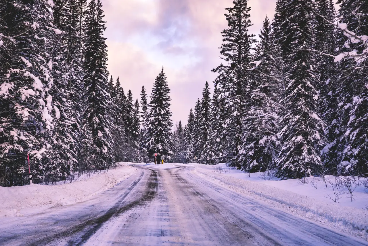 Fine-art photograph, “Snowy Forest Road Under a Peach Sky - 5M2A8914.JPG,” from the British Columbia - Banff collection.