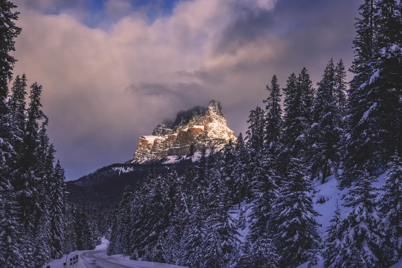 Fine-art photograph, “Banff Mountain Above Snowy Pines - 5M2A8937.JPG,” from the British Columbia - Banff collection.