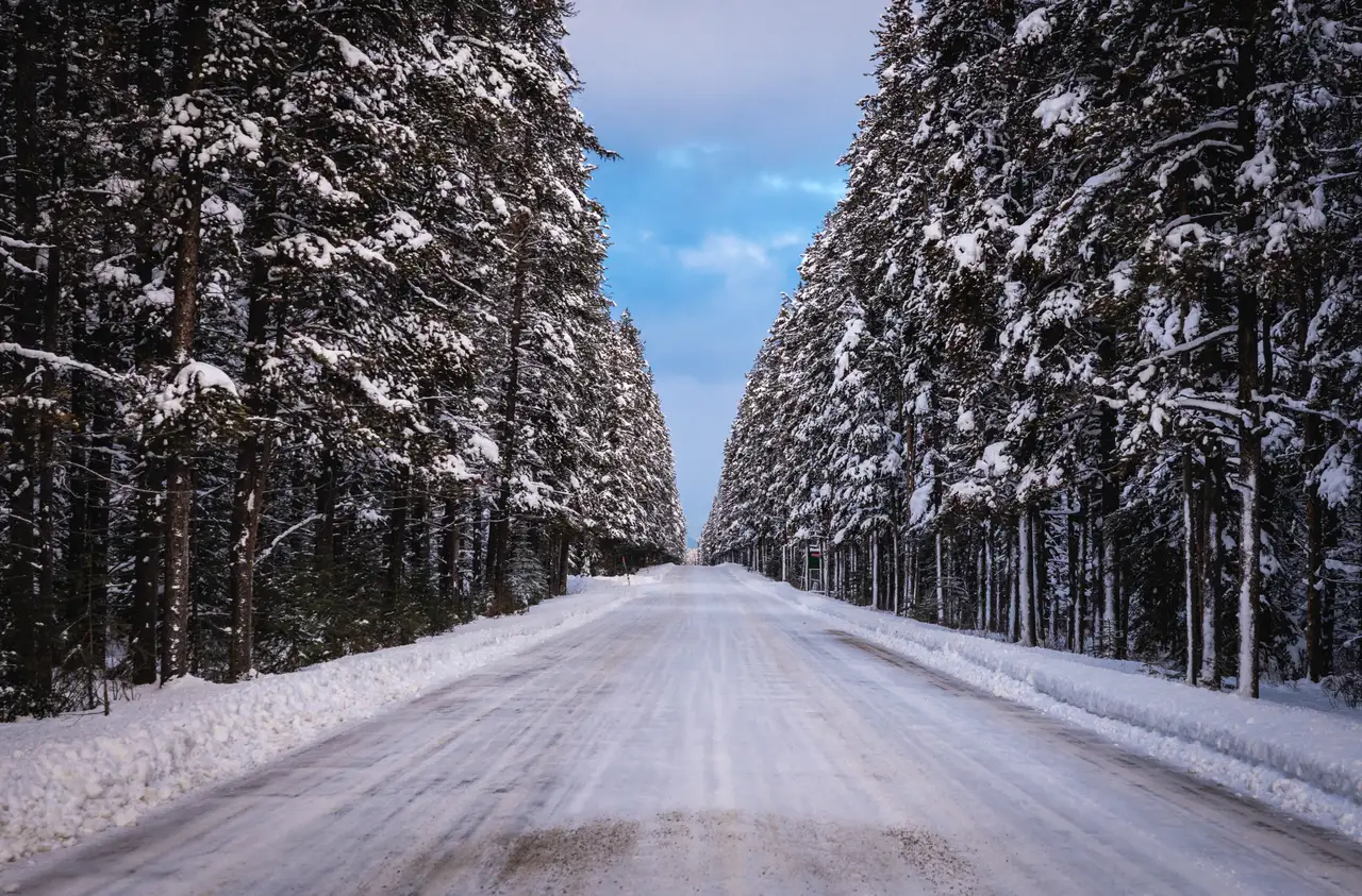 Fine-art photograph, “Snowy Forest Road Through Banff - 5M2A8943.JPG,” from the British Columbia - Banff collection.