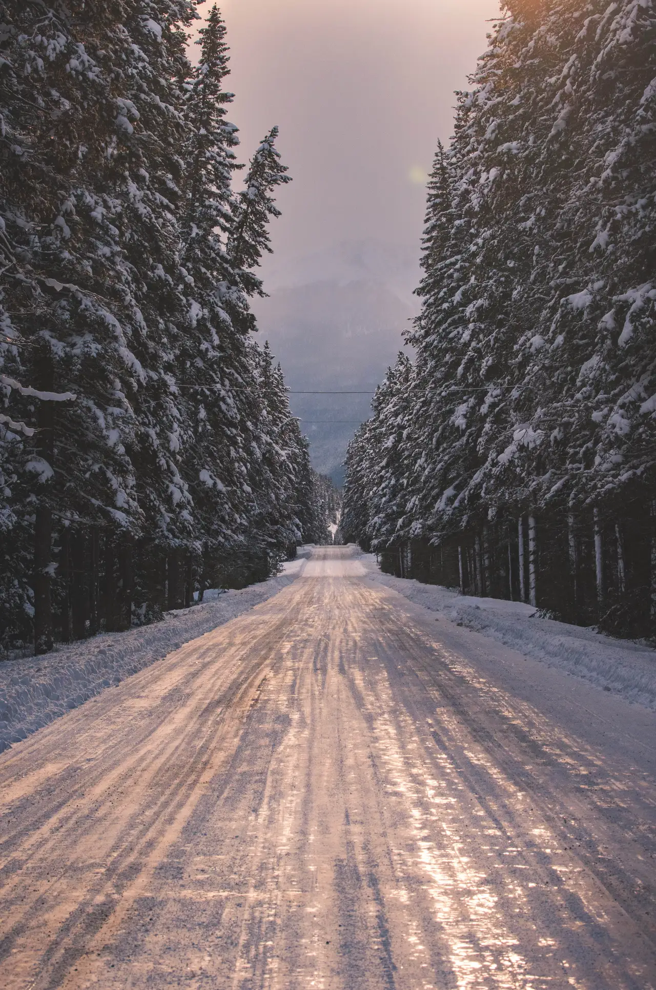 Fine-art photograph, “Snowy Banff Road in Evening Light - _FIV3301.JPG,” from the British Columbia - Banff collection.
