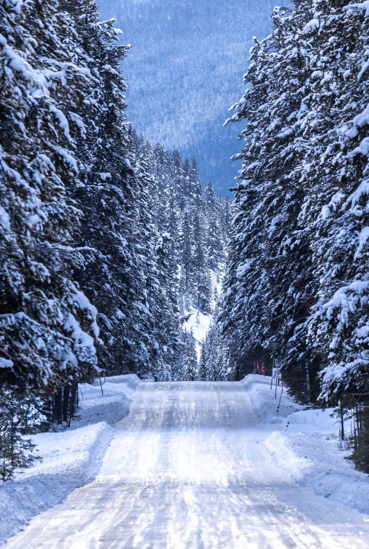 Fine-art photograph, “Snowy Banff Road in Blue Winter Light - _FIV3302.JPG,” from the British Columbia - Banff collection.