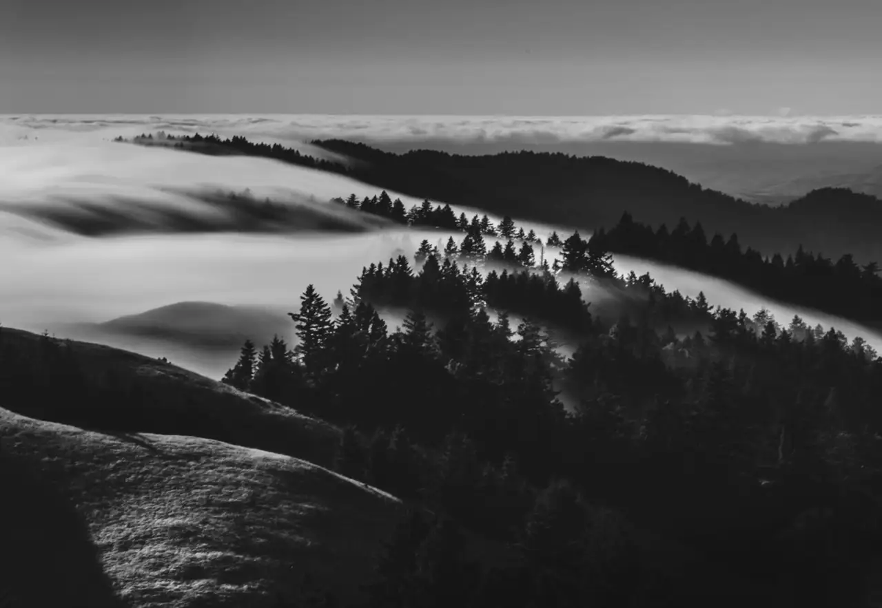 Fine-art photograph, “Pacific Fog - 5DM40874.JPG,” from the California - Non City - Nature collection.