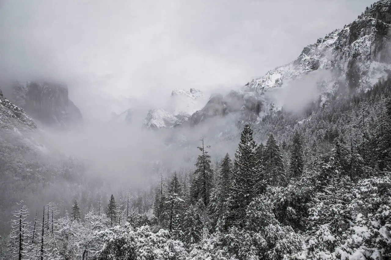 Fine-art photograph, “Yosemite After Snowfall, Forest Hush - 5DM43246.JPG,” from the California - Non City - Nature collection.