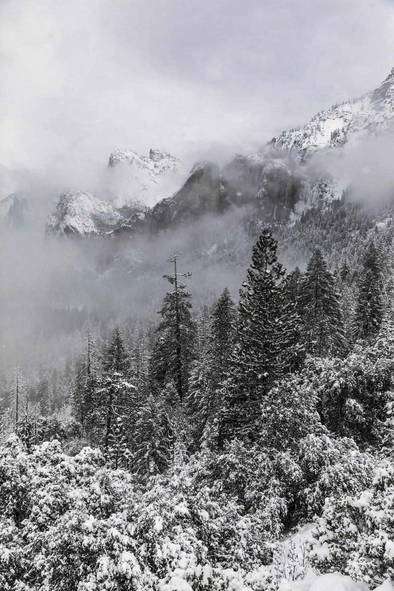 Fine-art photograph, “Yosemite After Snowfall, Morning Distance - 5DM43247.JPG,” from the California - Non City - Nature collection.