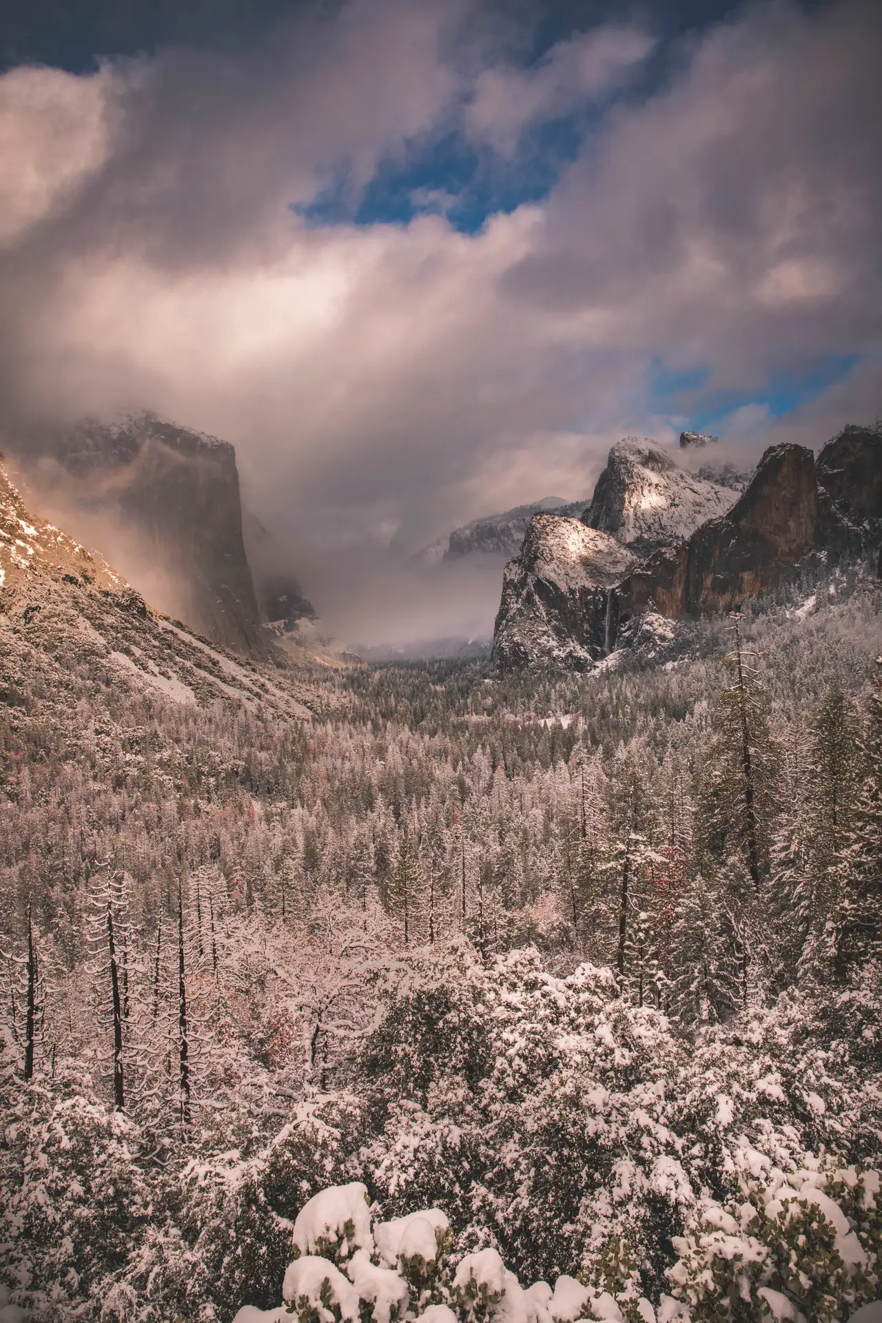 Fine-art photograph, “Yosemite After Snowfall, Quiet Distance - 5DM43276.JPG,” from the California - Non City - Nature collection.