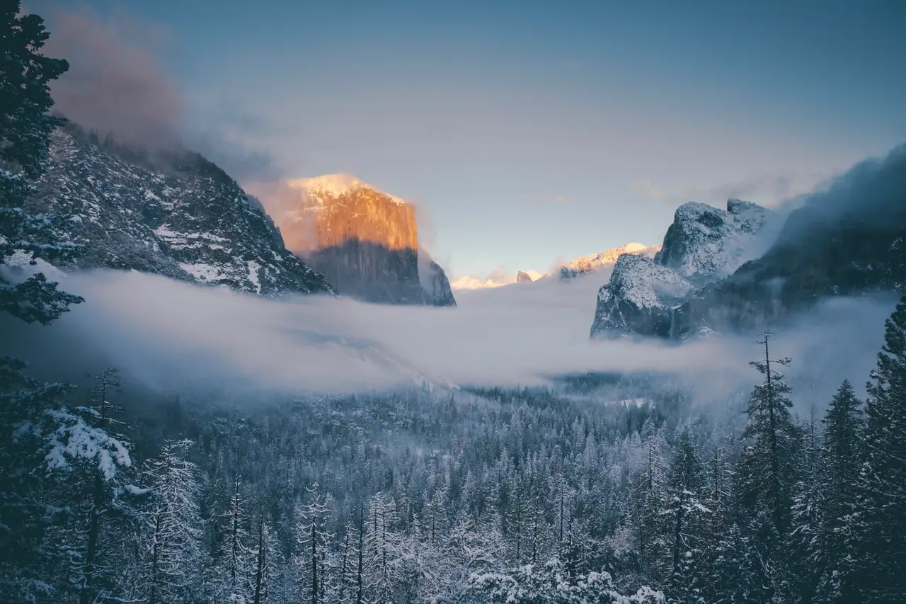 Fine-art photograph, “Yosemite Valley, First Light, Woodland Hush - 5DM43319.JPG,” from the California - Non City - Nature collection.