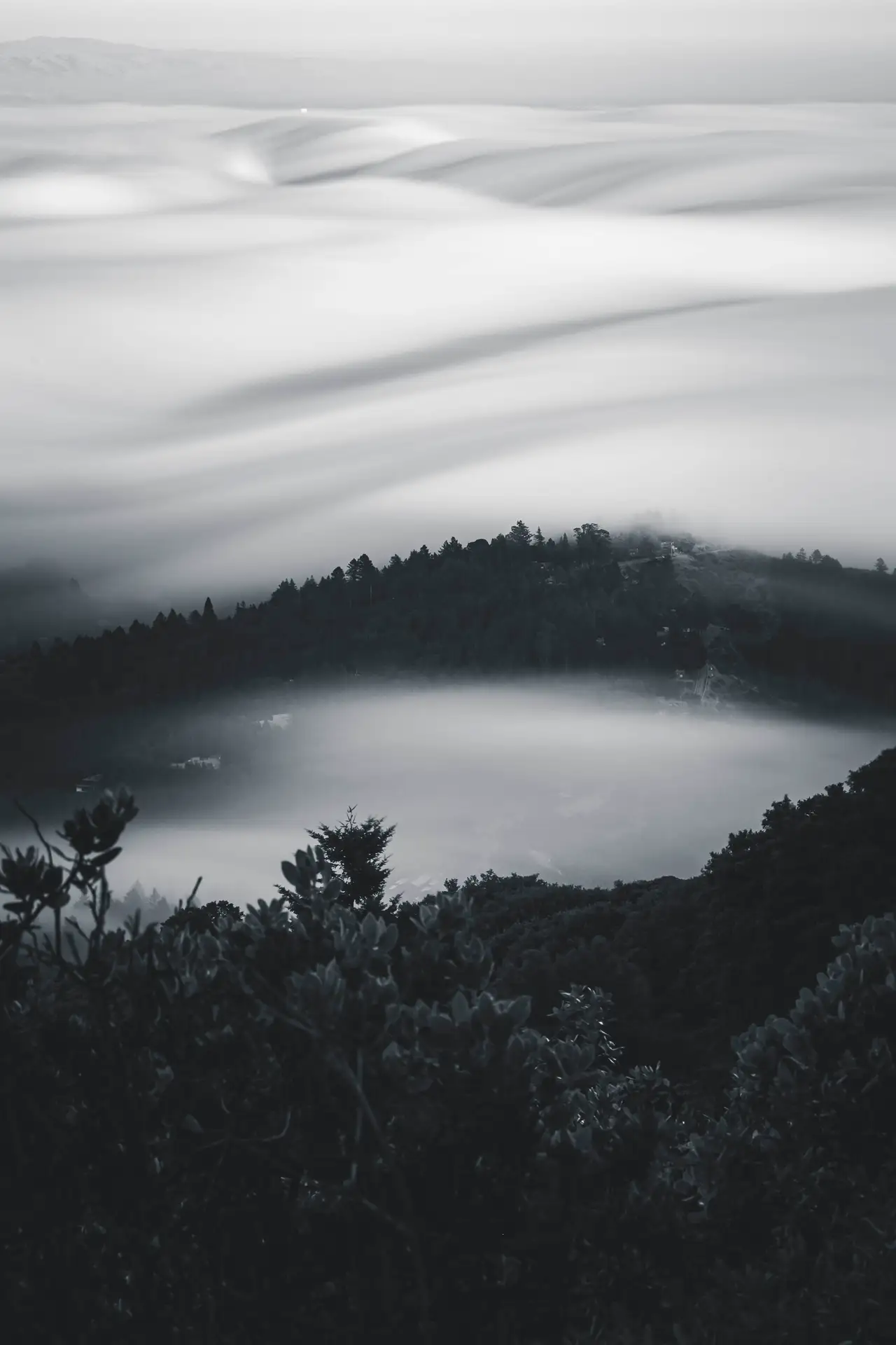 Fine-art photograph, “Fog Sea on the California Coast, Woodland Hush - 5DM48095.JPG,” from the California - Non City - Nature collection.