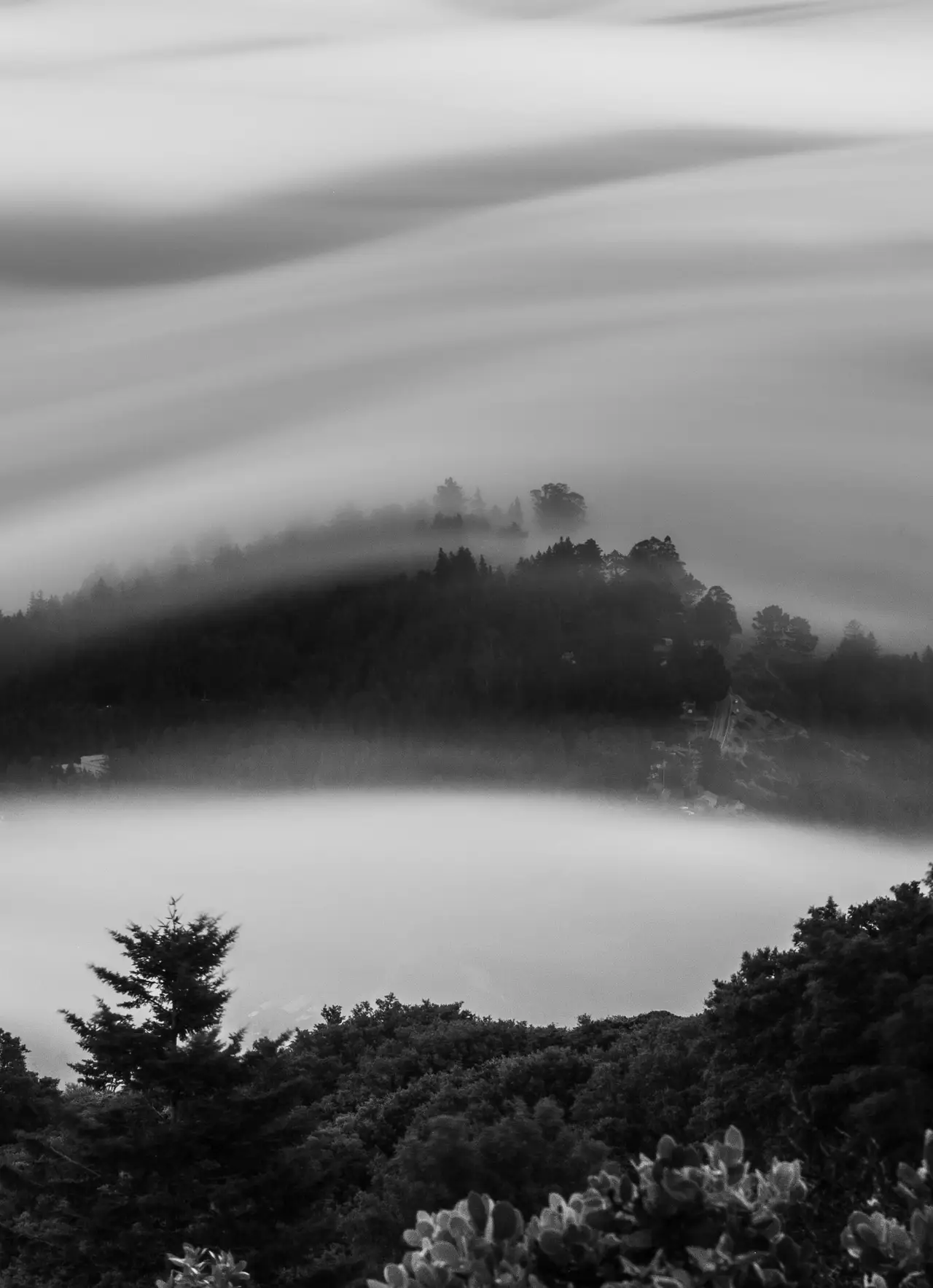 Fog Above the Coastal Hills, centered crop for 18 × 24 in.