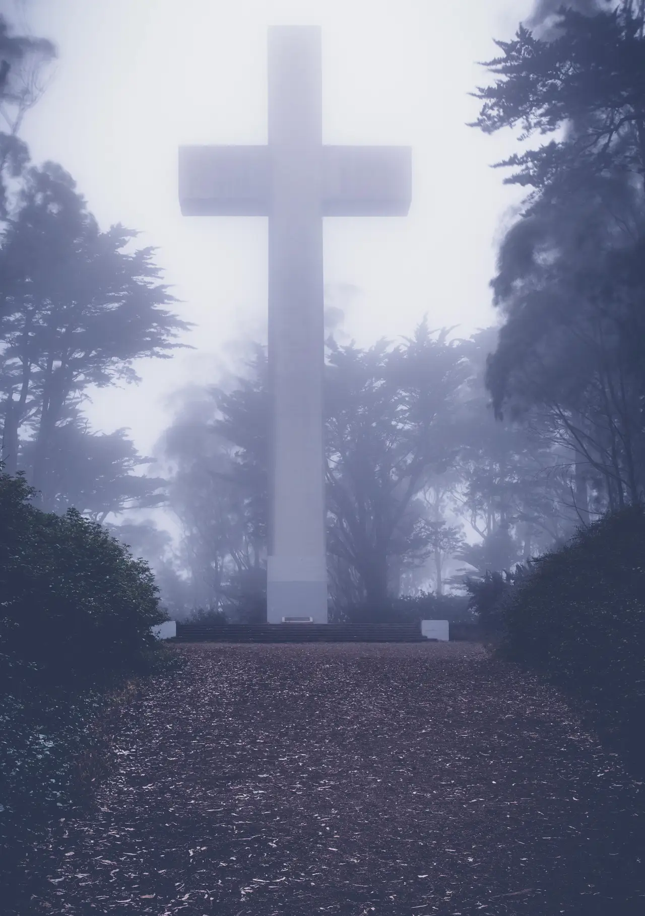 Cross in the Fog, Clear Break, centered crop for 18 × 24 in.