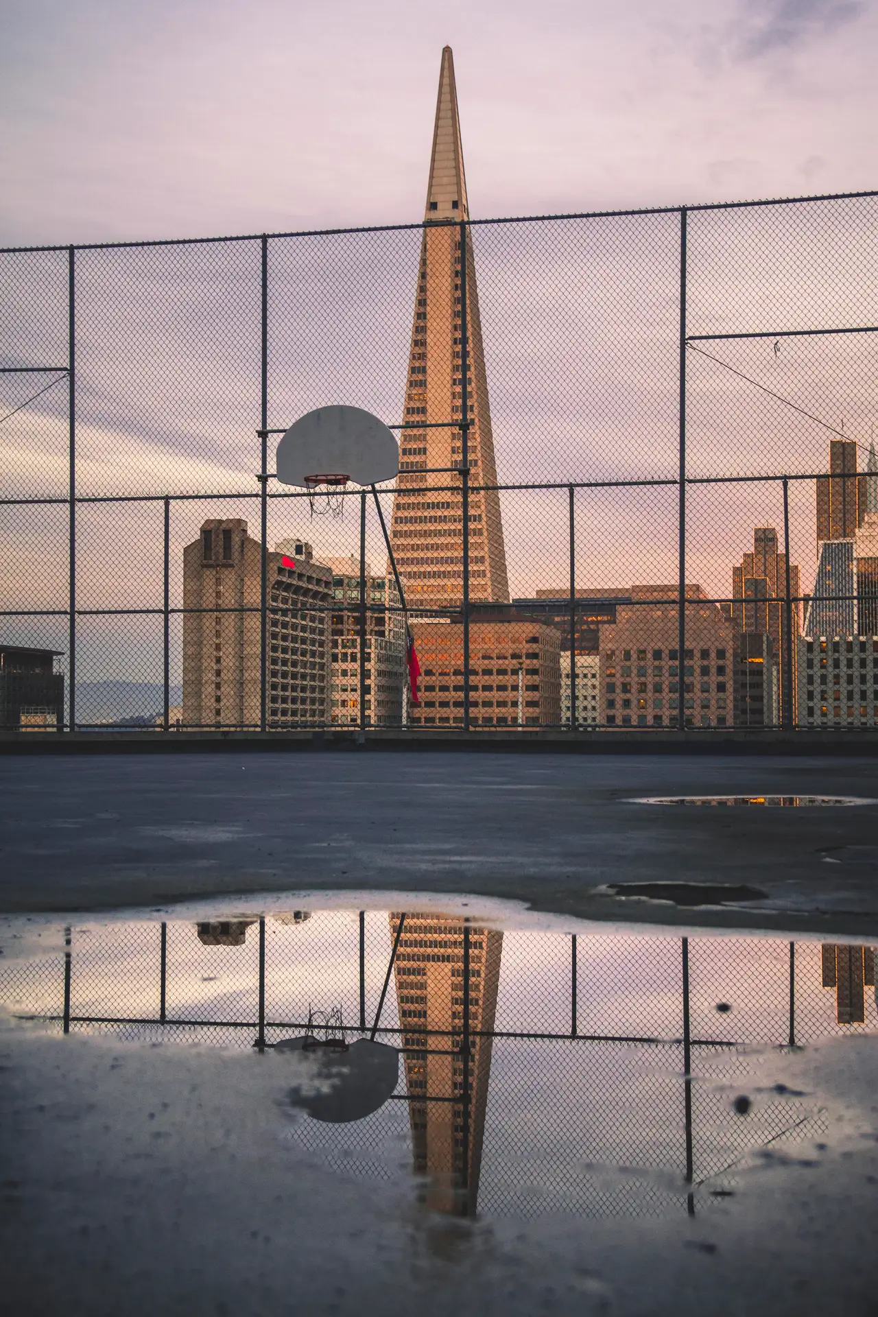 Fine-art photograph, “Transamerica From the Court, Tide of Light - IMG_5633.JPG,” from the California - SF - City collection.