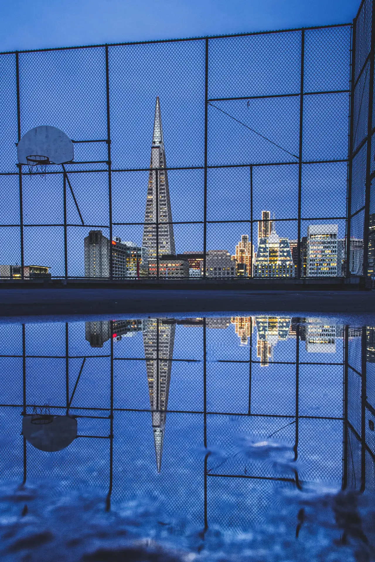 Fine-art photograph, “Transamerica From the Court, Tower Light - IMG_5658-2.JPG,” from the California - SF - City collection.