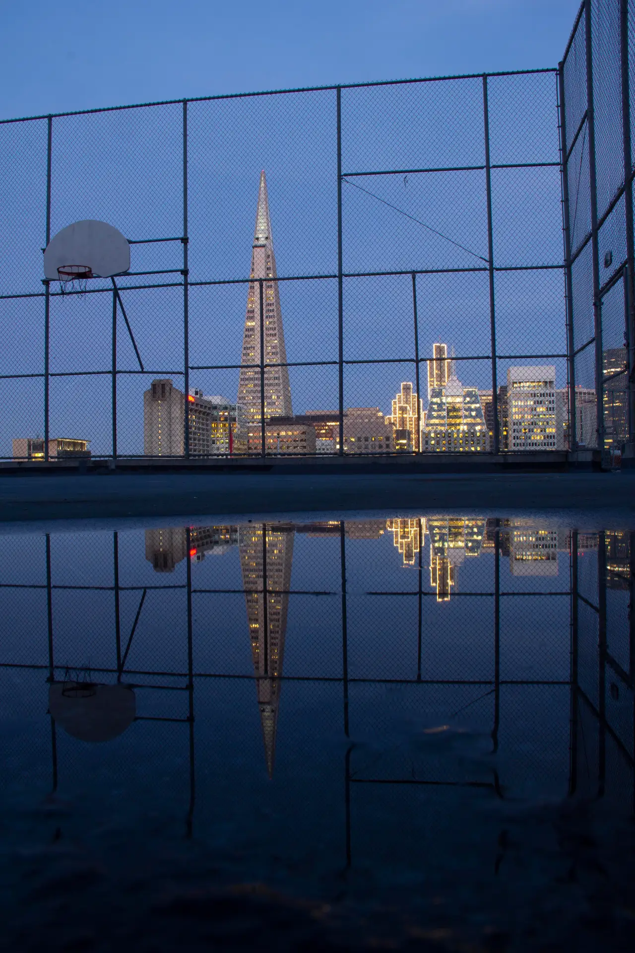Fine-art photograph, “Transamerica From the Court, Tower Light - IMG_5660.JPG,” from the California - SF - City collection.