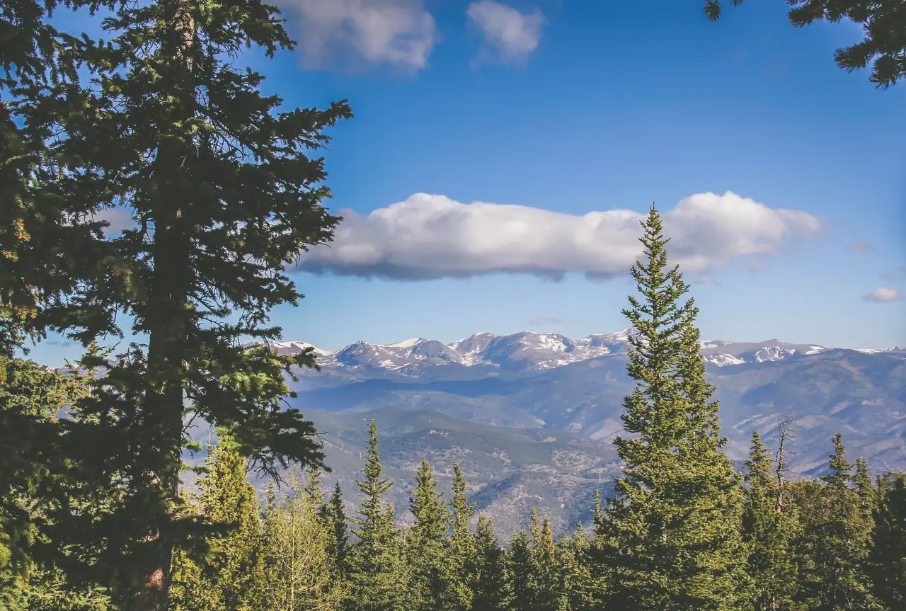 Fine-art photograph, “Mountain Road Through High Country - IMG_6497.JPG,” from the Colorado - other collection.
