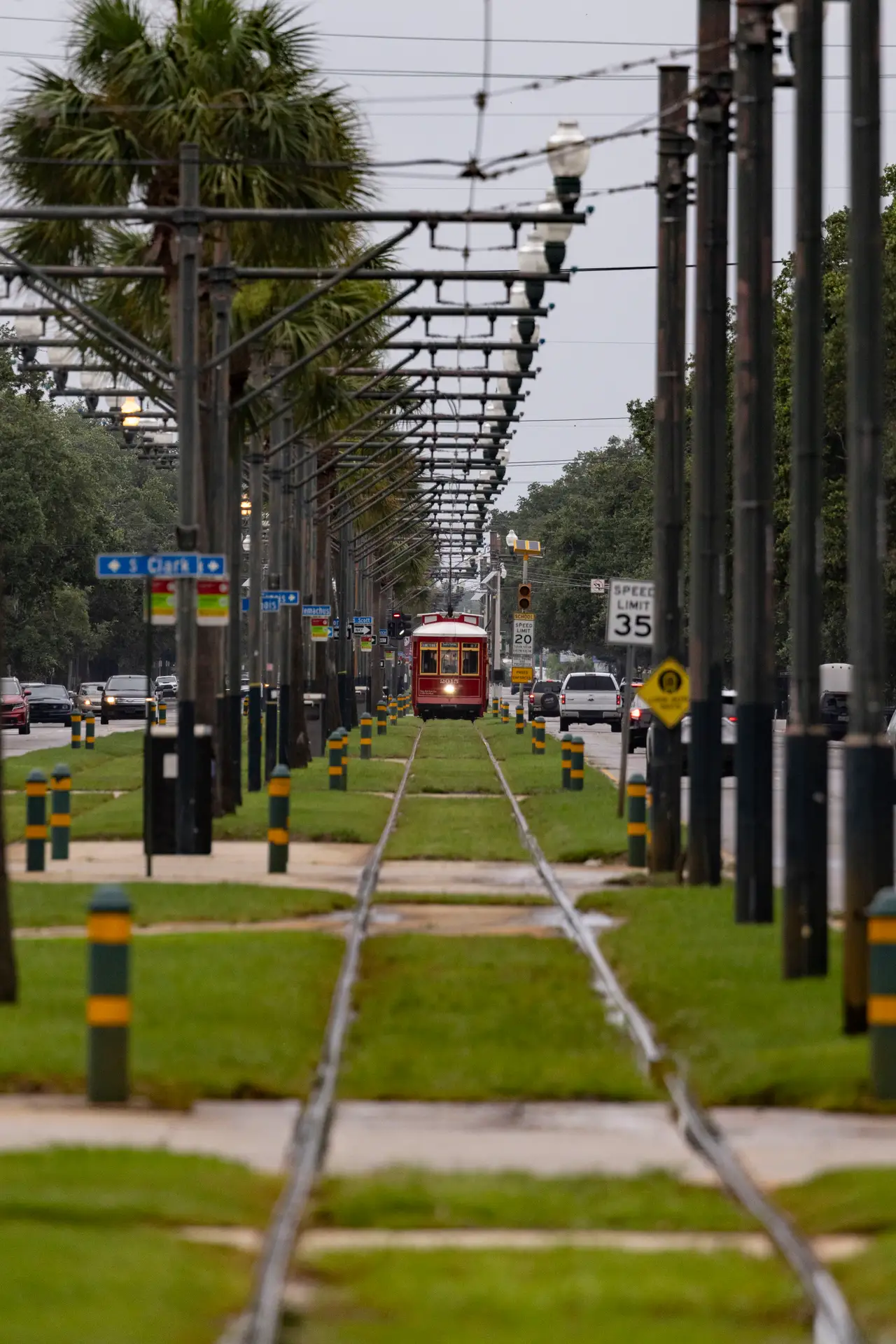 Fine-art photograph, “New Orleans Streetcar Along the Palm-Lined Tracks - _FIV0497.JPG,” from the Louisiana - New Orleans collection.