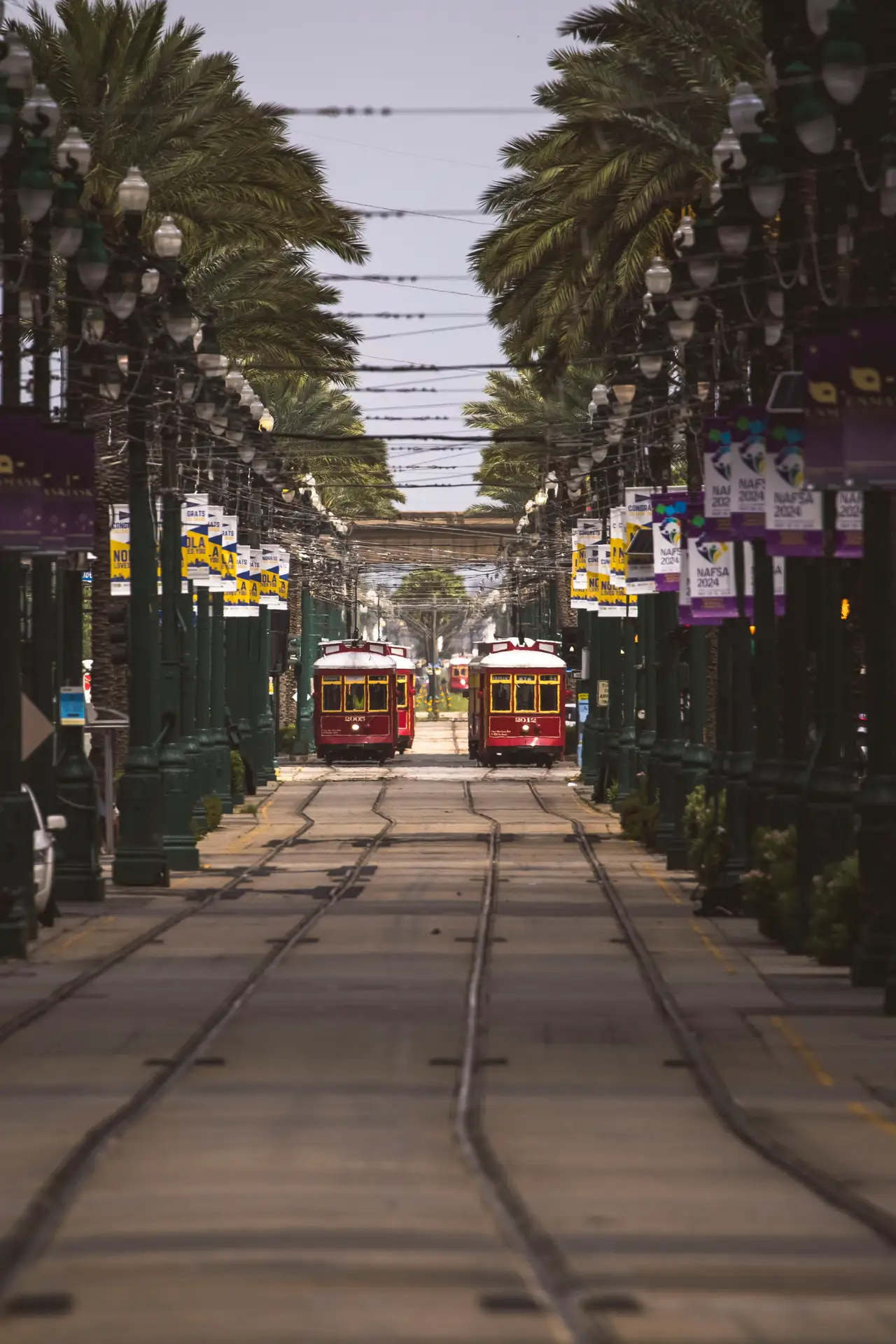 Fine-art photograph, “New Orleans Streetcars on Canal Street - _FIV0705.JPG,” from the Louisiana - New Orleans collection.