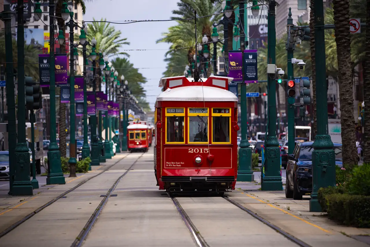 Fine-art photograph, “New Orleans Streetcar Through Palm-Lined Tracks - _FIV0729.JPG,” from the Louisiana - New Orleans collection.