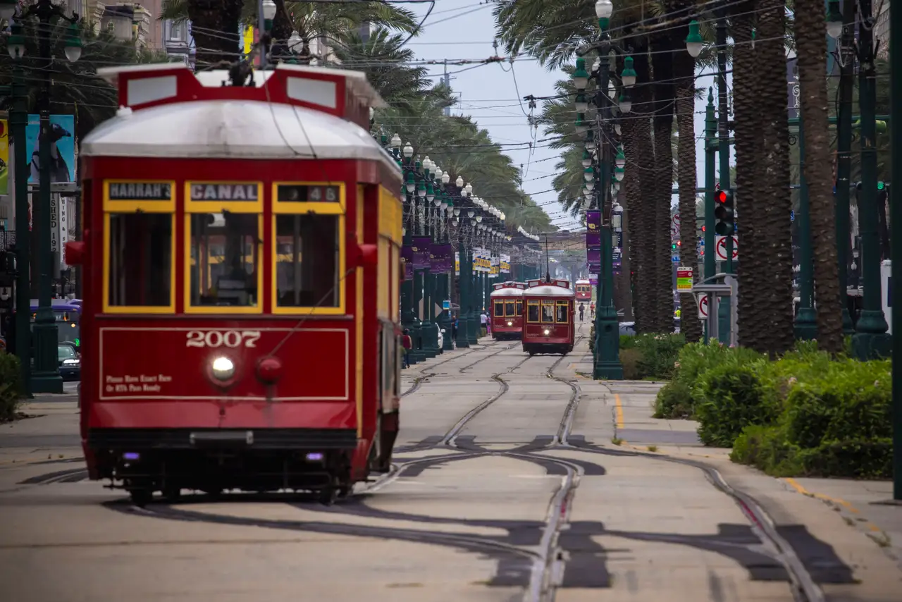 Fine-art photograph, “New Orleans Streetcar Through the Green Median - _FIV0800.JPG,” from the Louisiana - New Orleans collection.