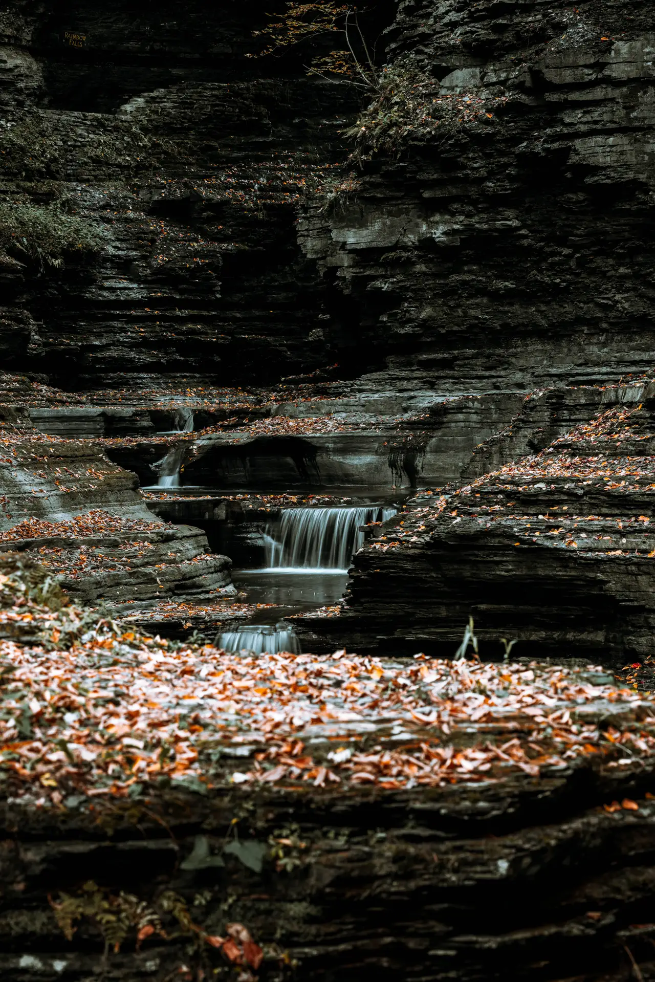 Fine-art photograph, “Watkins Glen Waterfall Through Autumn Leaves - 5M2A0162.JPG,” from the New York State - Watkins Glen collection.