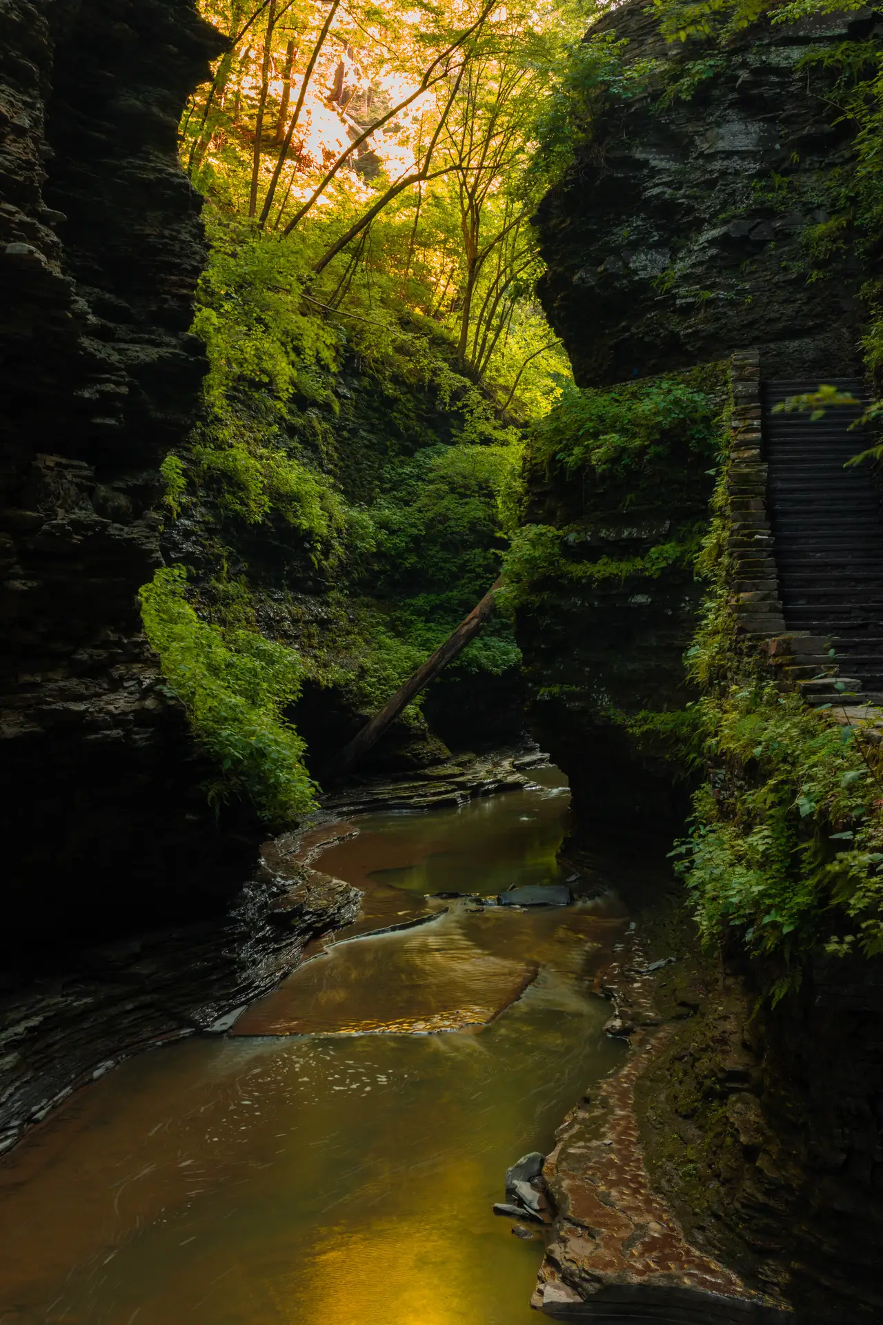 Fine-art photograph, “Watkins Glen Mossy Gorge Stairway - _FIV5794.JPG,” from the New York State - Watkins Glen collection.