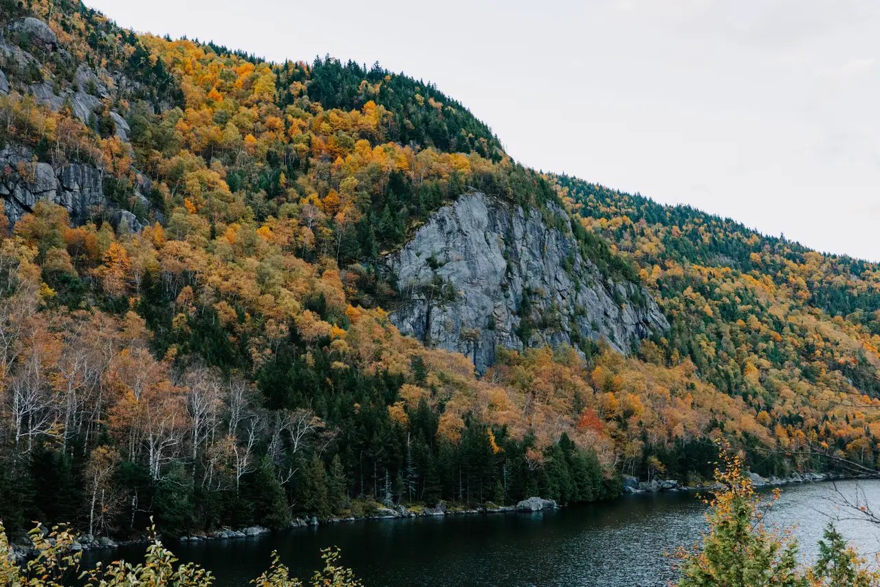 Fine-art photograph, “Adirondack Cliff Above the River - 5M2A0405.JPG,” from the New York State collection.
