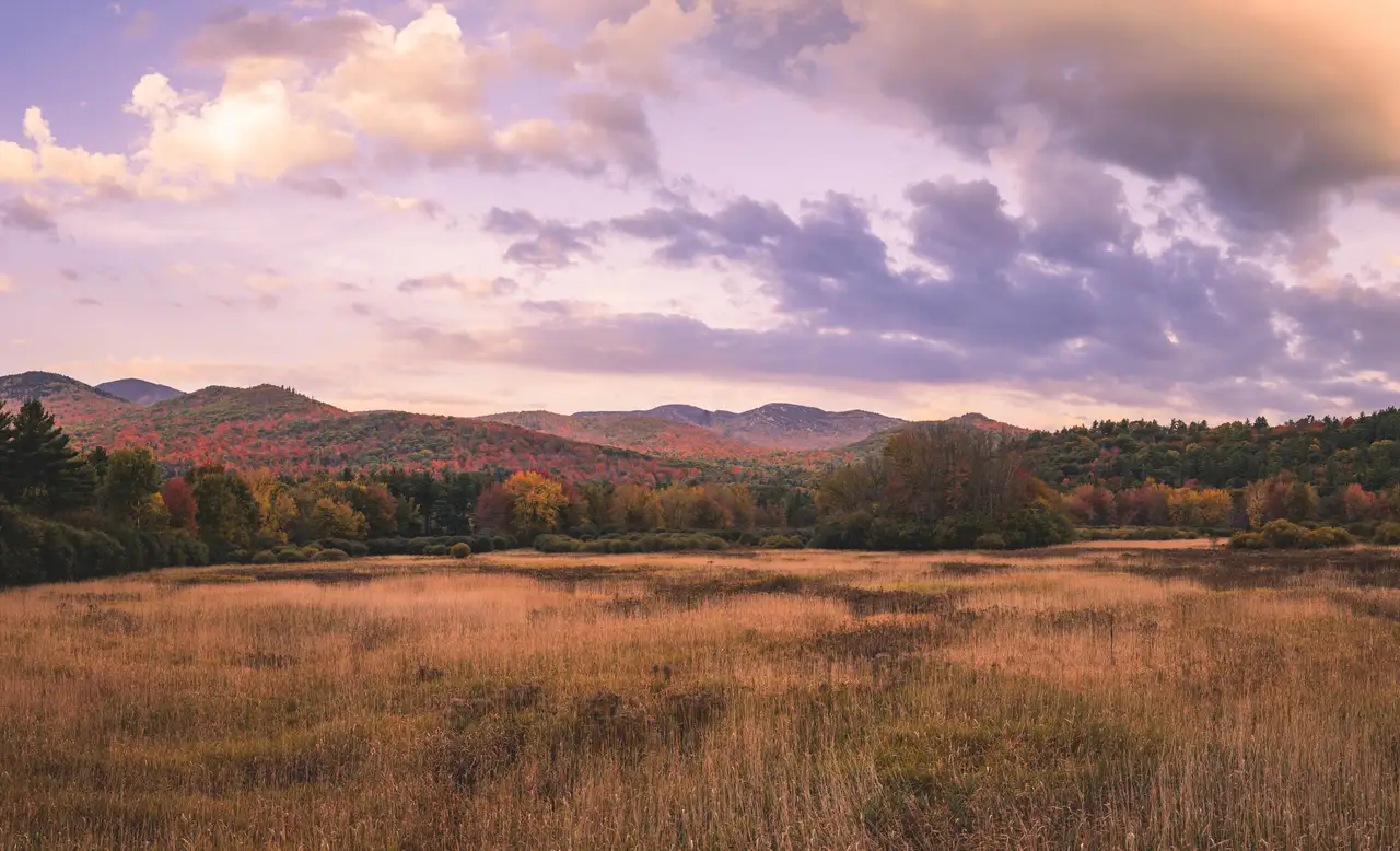 Fine-art photograph, “Adirondack Meadow Beneath Evening Clouds - 5M2A0508-Pano.JPG,” from the New York State collection.