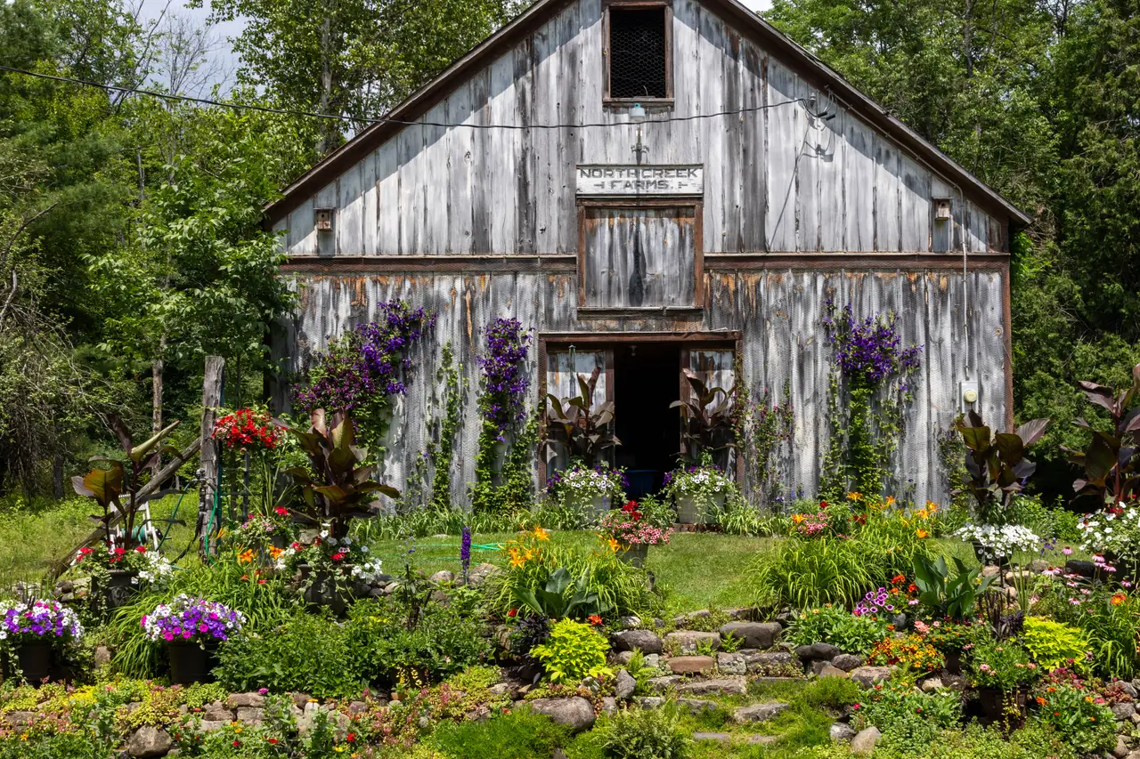 Fine-art photograph, “Rochester Weathered Barn and Garden - _FIV4978.JPG,” from the New York State collection.