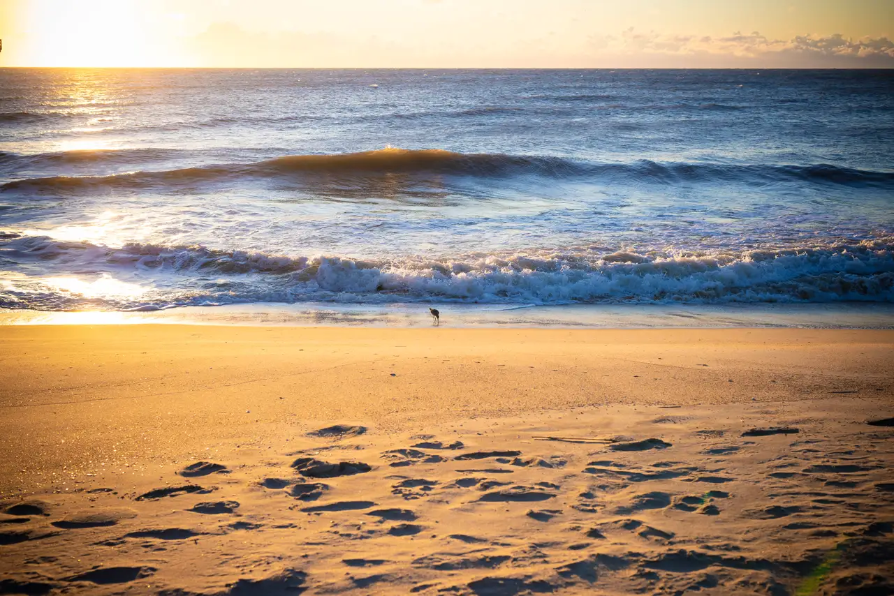 Fine-art photograph, “Outer Banks Beach, Quiet Distance - RFIV6304.JPG,” from the North Carolina collection.