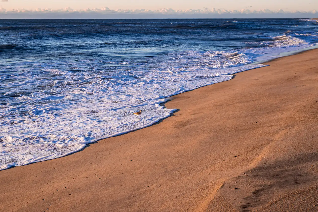 Fine-art photograph, “Outer Banks Beach, Last Warmth - RFIV6349.JPG,” from the North Carolina collection.