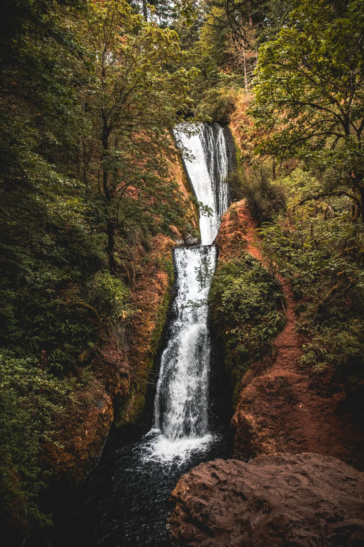 Fine-art photograph, “Oregon Forest Waterfall in Autumn - 5DM42955.JPG,” from the Oregon collection.