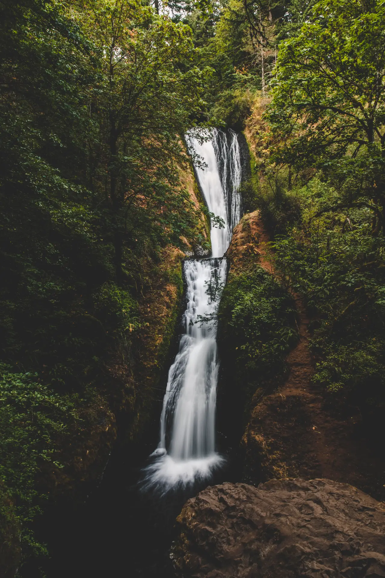 Fine-art photograph, “Oregon Forest Waterfall in a Fern Canyon - 5DM42957.JPG,” from the Oregon collection.