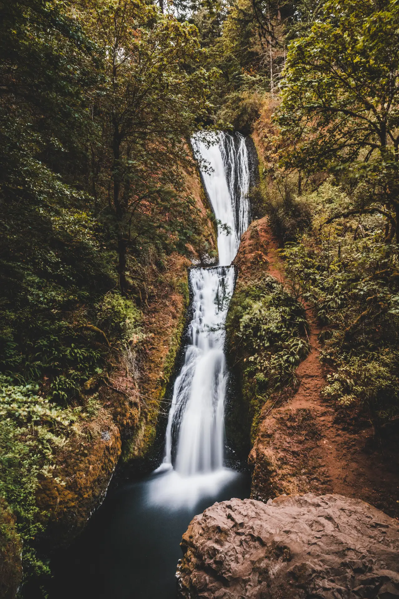 Fine-art photograph, “Oregon Forest Waterfall and Mossy Cliffs - 5DM42959.JPG,” from the Oregon collection.
