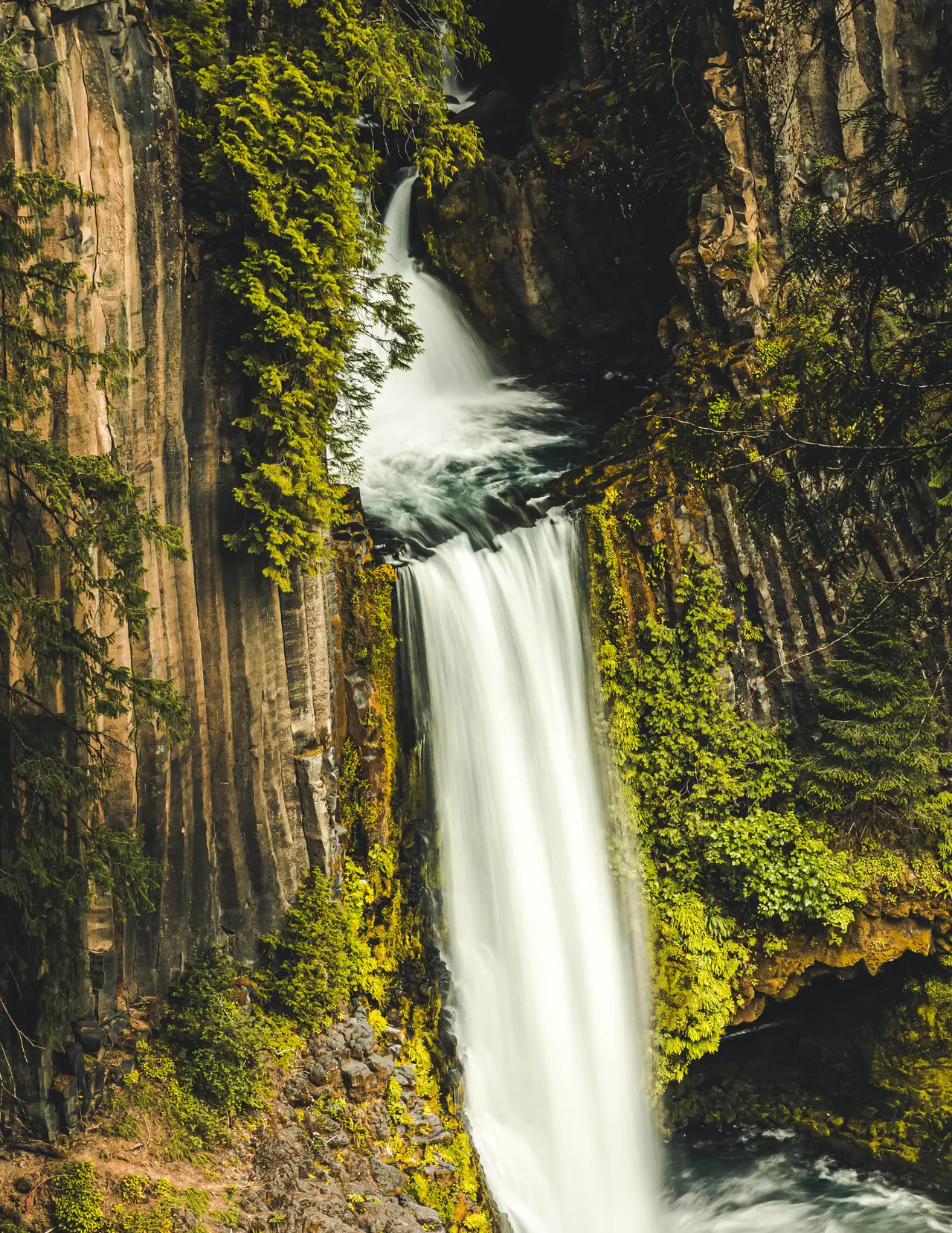Fine-art photograph, “Oregon Waterfall in a Mossy Gorge - 5DM49908.JPG,” from the Oregon collection.
