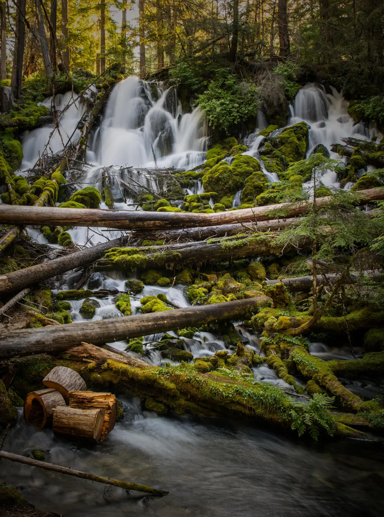 Waterfall and Fallen Logs, centered crop for 18 × 24 in.