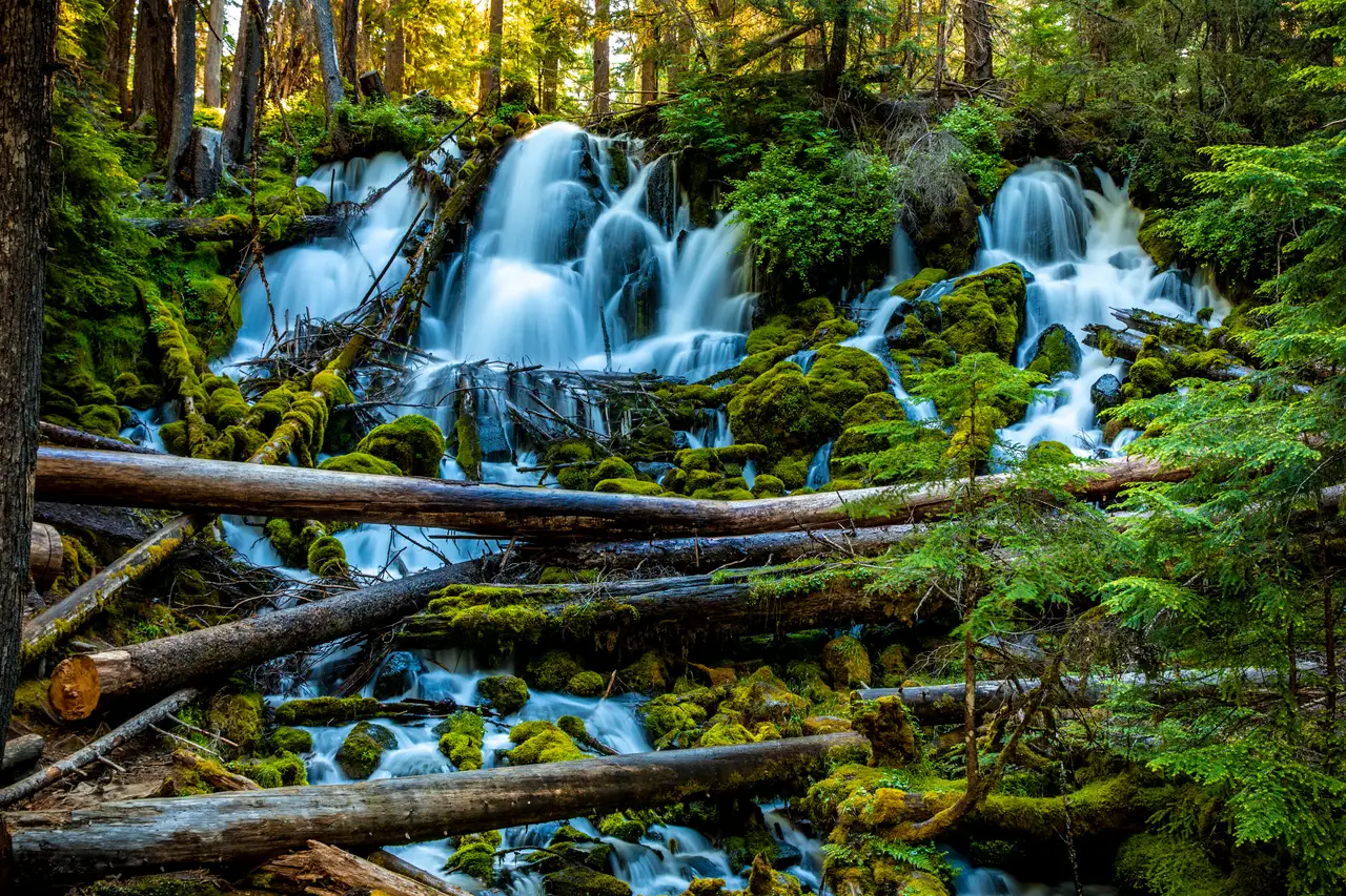 Fine-art photograph, “Oregon Forest Cascade and Mossy Logs - 5DM49934.JPG,” from the Oregon collection.