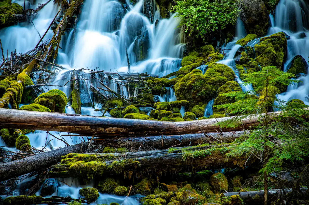 Fine-art photograph, “Mossy Forest Waterfall,” from the Oregon collection.
