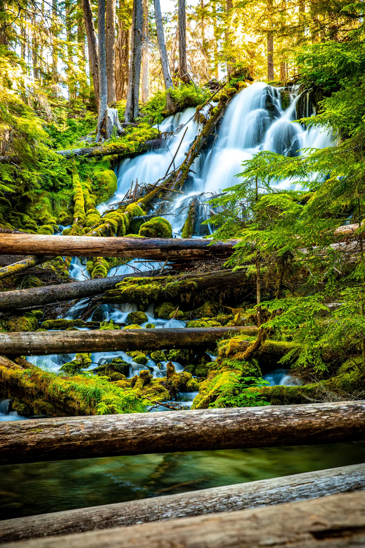 Waterfall Through the Mossy Forest, centered crop for 18 × 24 in.
