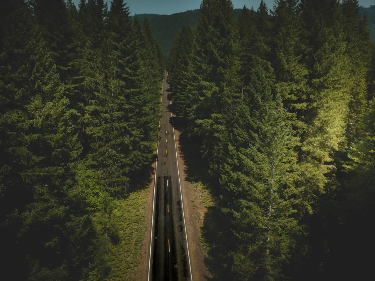 Fine-art photograph, “Oregon Forest Road Aerial - DJI_0091.JPG,” from the Oregon collection.