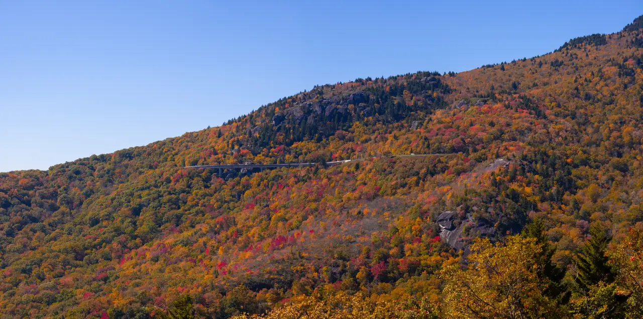 Fine-art photograph, “North Carolina Blue Ridge Mountain Panorama, Woodland Hush - NC Mountains RFIV1346 Pano,” from the Panoramic collection.
