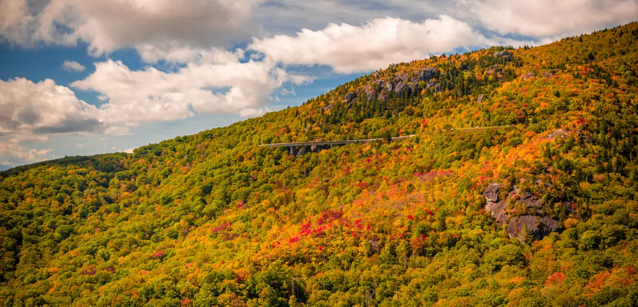 Fine-art photograph, “North Carolina Blue Ridge Mountain Panorama, Woodland Hush - NC Mountains RFIV8916 Pano,” from the Panoramic collection.