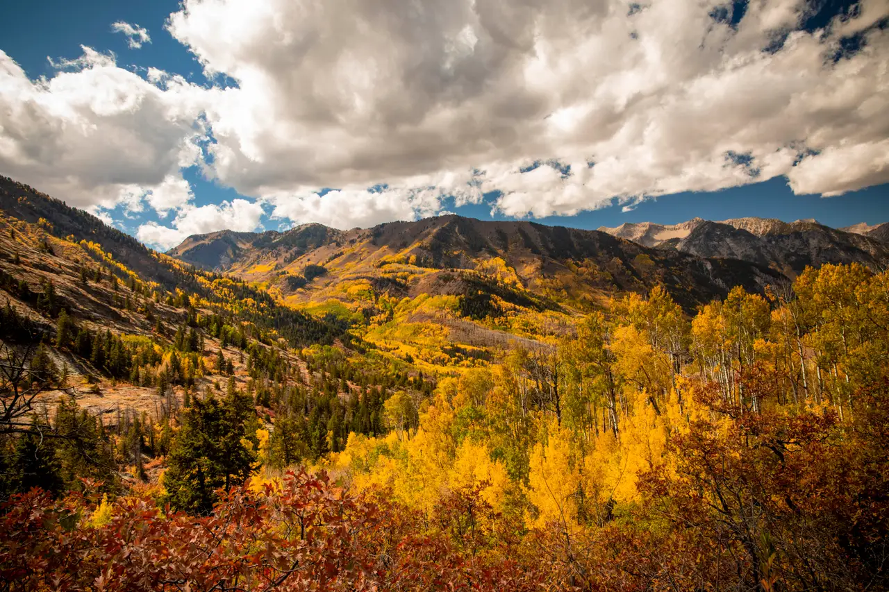 Fine-art photograph, “San Juan Mountains in Autumn - 5DM45354,” from the Random - Nature collection.