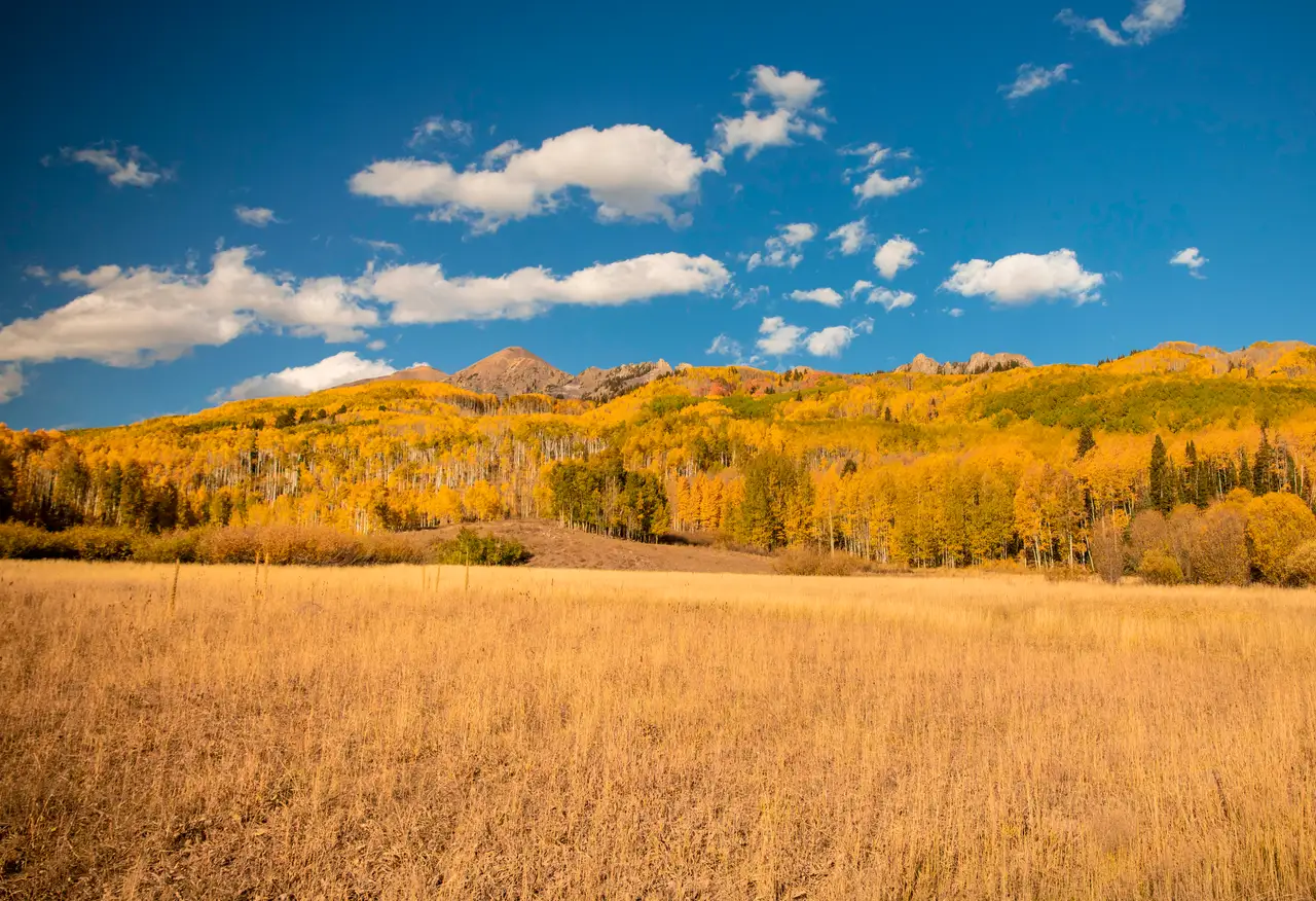 Fine-art photograph, “Autumn Meadow and Mountain Ridge - 5DM45591,” from the Random - Nature collection.